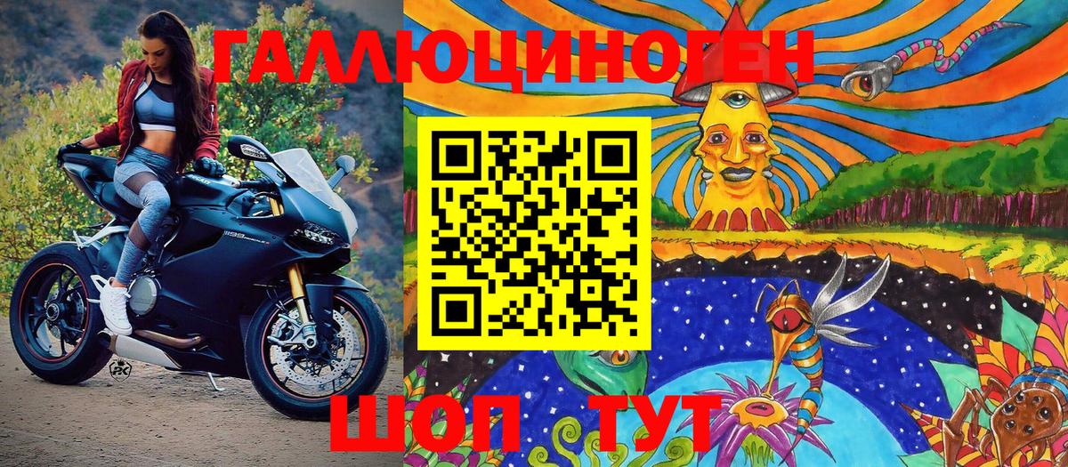 Сорочинск  Псилоцибиновые грибы Psilocybe  Вход с VPN 